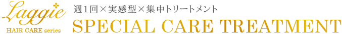 Laggie ラグジー 週1回×実感型×集中トリートメント【スペシャルケアトリートメント】